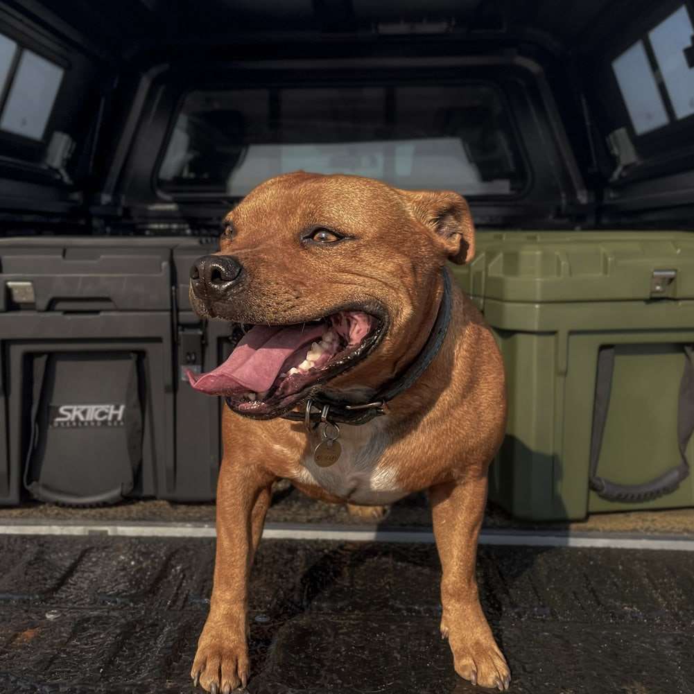 105L Rugged Cargo Box by Skitch Overland - Skitch Overland - HFR095V3P-TAN
